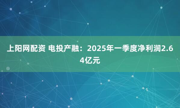 上阳网配资 电投产融：2025年一季度净利润2.64亿元