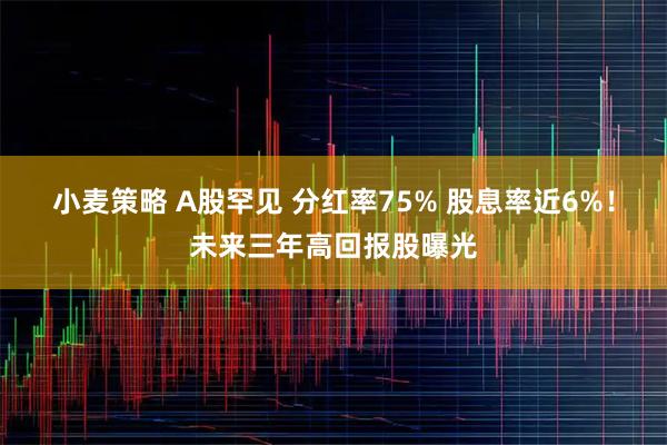小麦策略 A股罕见 分红率75% 股息率近6%！未来三年高回报股曝光