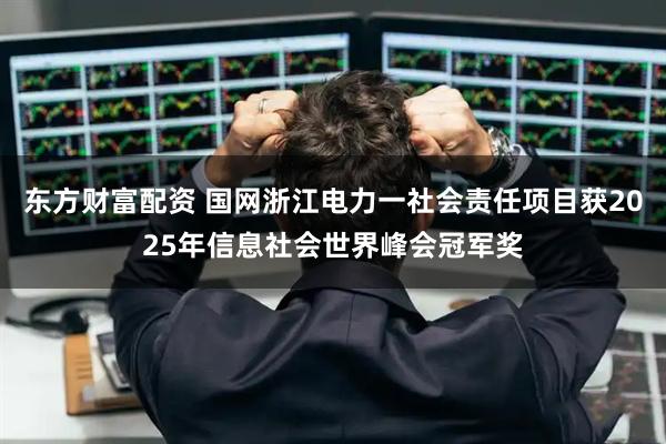 东方财富配资 国网浙江电力一社会责任项目获2025年信息社会世界峰会冠军奖