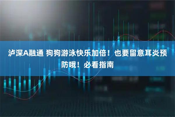 泸深A融通 狗狗游泳快乐加倍！也要留意耳炎预防哦！必看指南