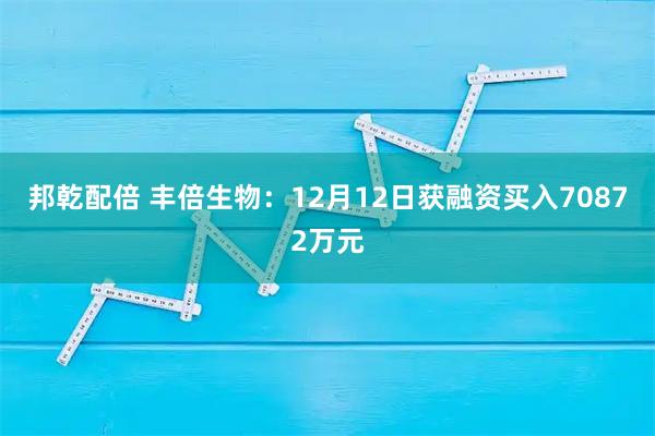 邦乾配倍 丰倍生物：12月12日获融资买入70872万元