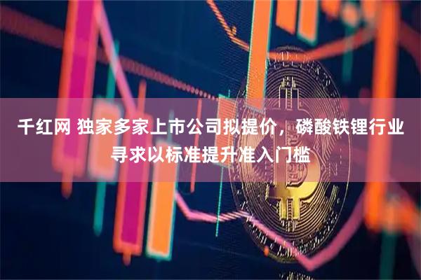 千红网 独家多家上市公司拟提价，磷酸铁锂行业寻求以标准提升准入门槛